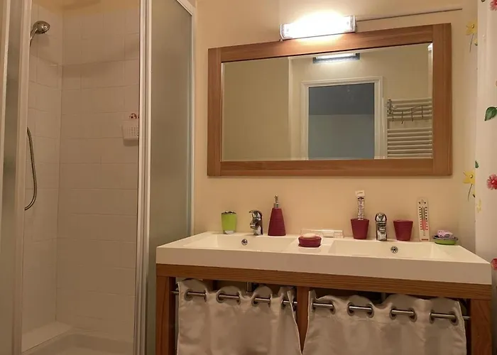 Treffle A 4 Feuilles * Le Mayet-de-Montagne