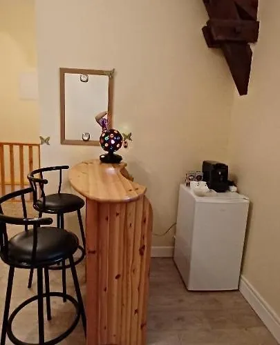 Treffle A 4 Feuilles * Le Mayet-de-Montagne