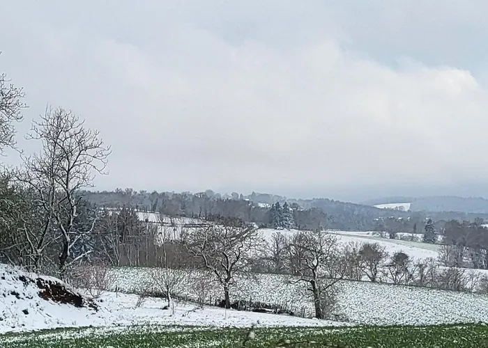 Treffle A 4 Feuilles