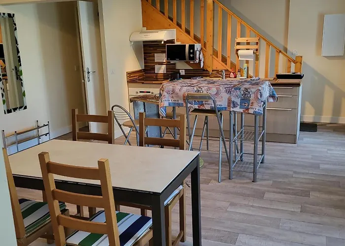 Treffle A 4 Feuilles * Le Mayet-de-Montagne