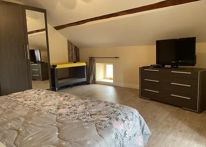 Treffle A 4 Feuilles * Le Mayet-de-Montagne