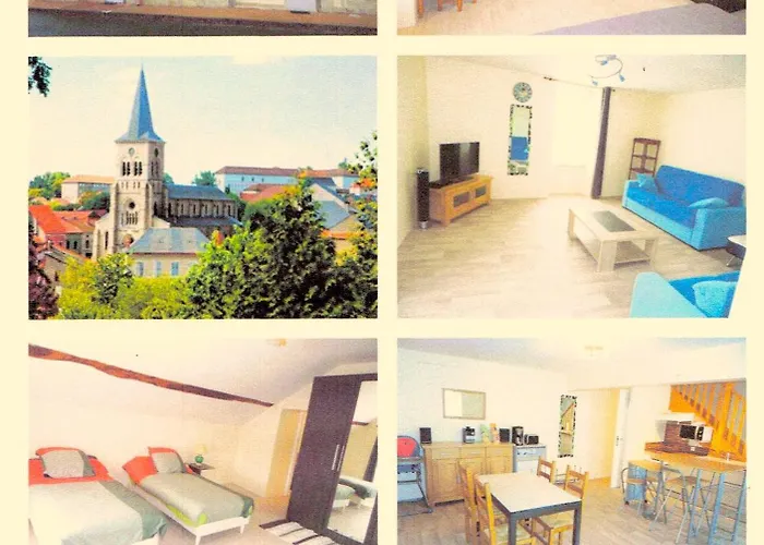 Treffle A 4 Feuilles * Le Mayet-de-Montagne